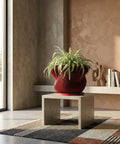 A red, round, ribbed planter pot with a green plant inside is placed on a wooden floor in a room with a window.