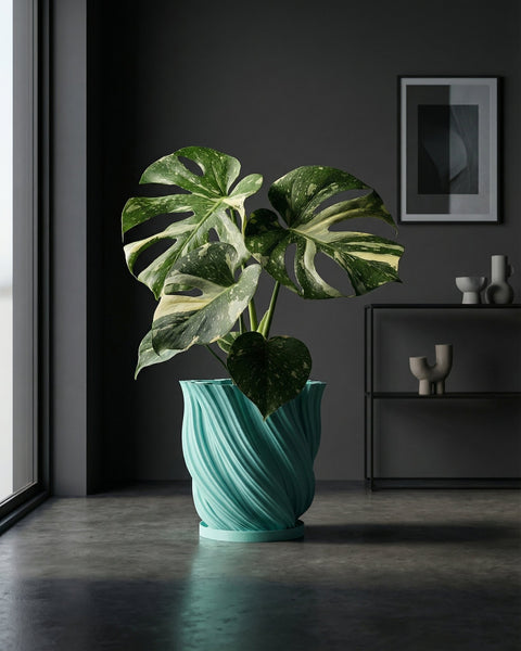 A Philodendron Pink Princess plant sits in a textured, light blue planter pot on a wooden surface. The background is a yellow wall.
