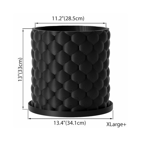 Charcoal Black Bubble