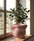 A small green tree in a pink, vertically striped planter pot sits on a dark gray surface against a dark gray wall.