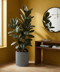 A gray planter pot with a green ivy plant sits on a wooden shelf against a rust-colored wall.