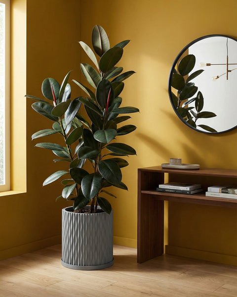 A gray planter pot with a green ivy plant sits on a wooden shelf against a rust-colored wall.