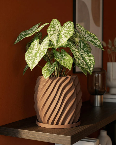A planter pot with a plant sits on a shelf. The pot is a light brown color and has a wavy design. The plant has green and white leaves.