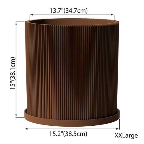 Nut Brown Ray