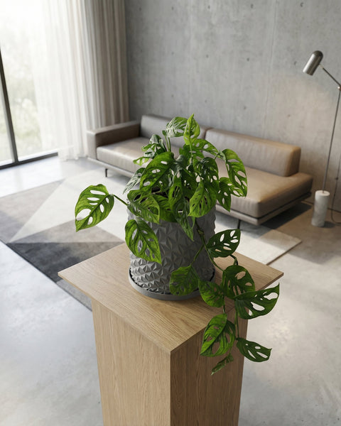 A gray planter pot with a geometric design sits on a wooden table, filled with a lush green Swiss cheese plant.