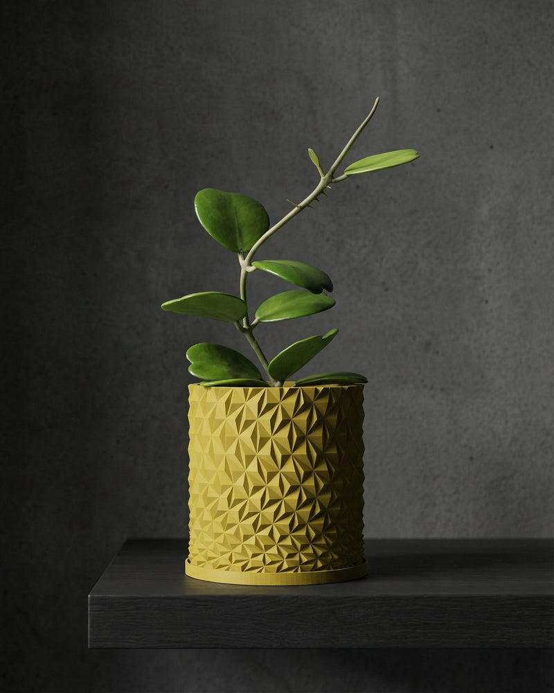 A yellow planter pot with a geometric design sits on a dark shelf, holding a green plant with heart-shaped leaves.