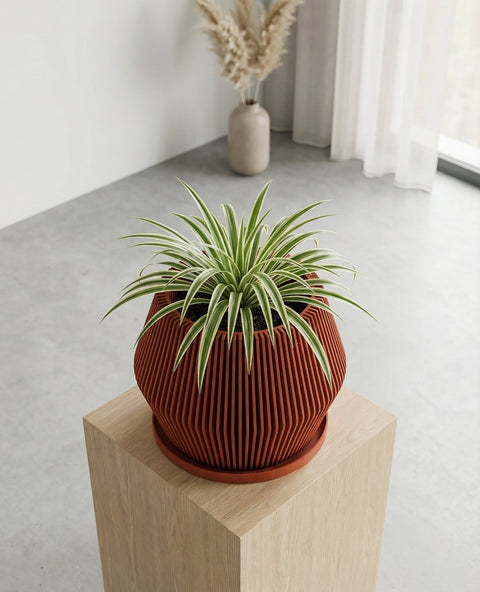 A money tree plant in a ribbed, terracotta-colored planter pot sits on a dark wood cabinet against a textured gray wall. In the background, a modern floor lamp stands near a window with sheer white curtains.