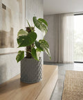 A gray planter pot with a green ivy plant sits on a wooden table in a living room setting.