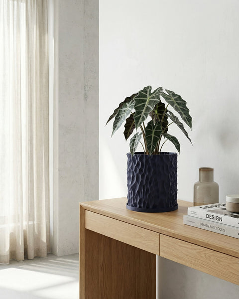 A dark blue planter pot with a plant on a wooden table next to books and a vase.