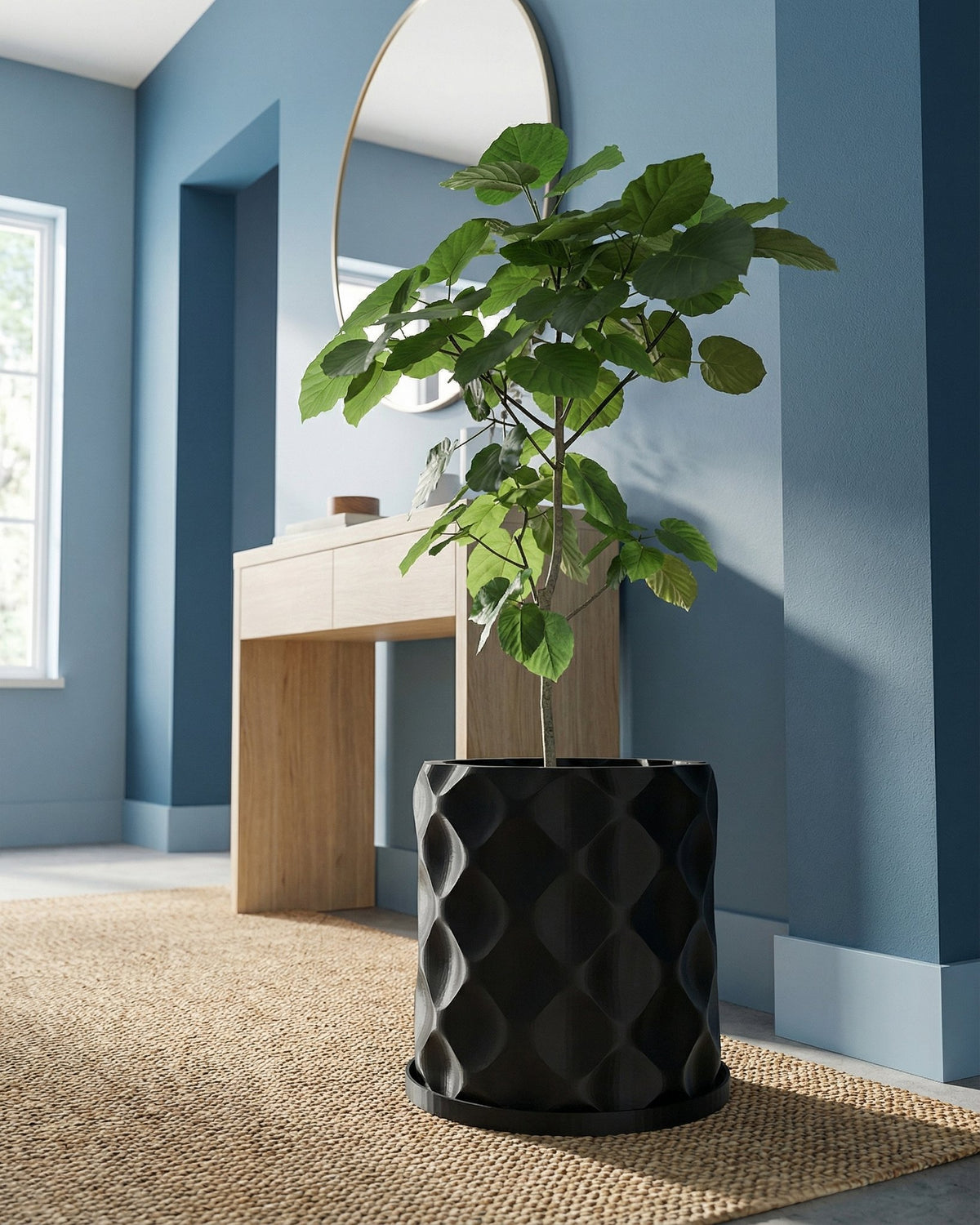 A black planter pot with a textured design sits on a woven rug in a blue room, holding a green plant.