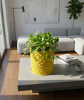 A vibrant yellow planter pot with a geometric design sits on a gray coffee table, holding a lush green plant. Books and a mug are nearby.