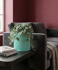A light blue planter pot sits on a wooden table next to a gray sofa with a throw blanket in a room with dark green walls.