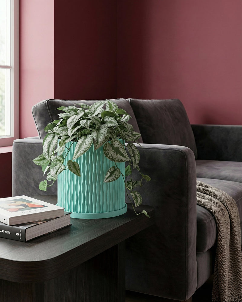 A light blue planter pot sits on a wooden table next to a gray sofa with a throw blanket in a room with dark green walls.
