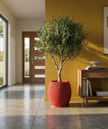 A red planter pot with a textured surface sits on a gray floor, holding a small tree with green leaves. A wooden cabinet is nearby.