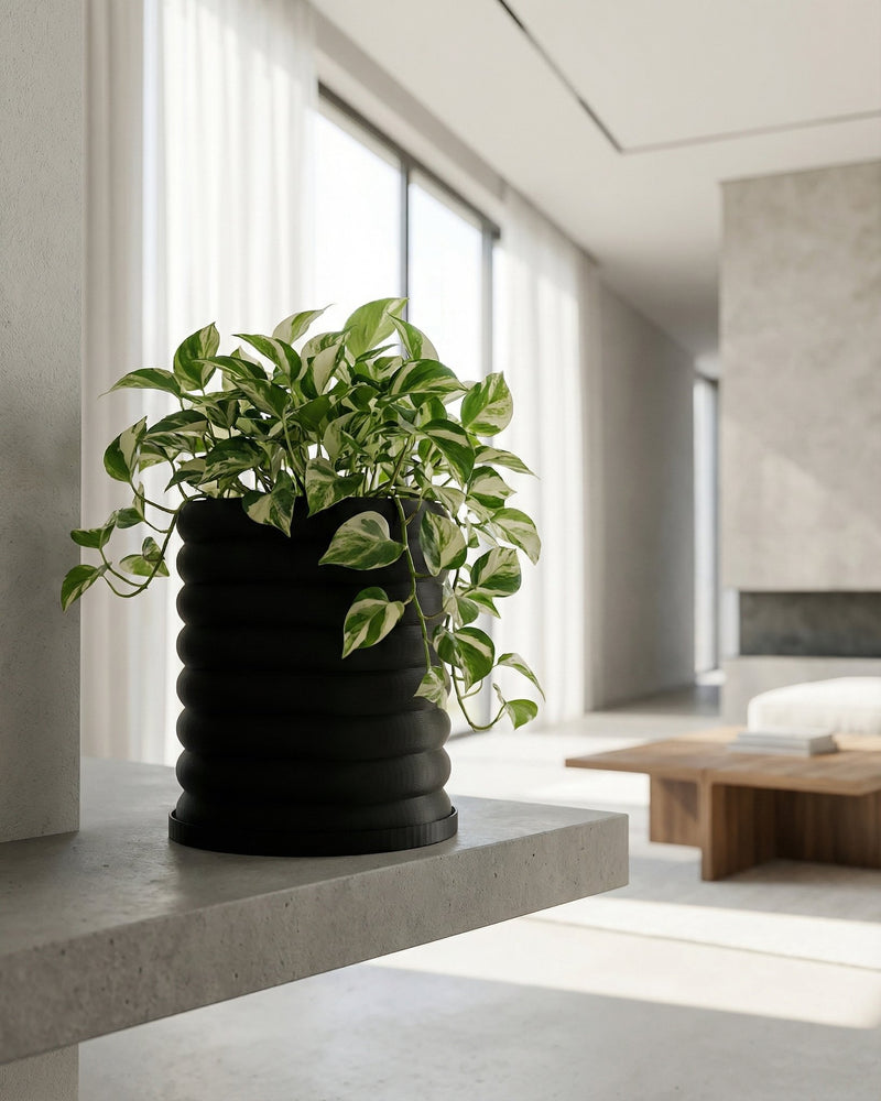 A black planter pot with a green and white plant sits on a gray shelf in a bright, modern room. The planter is the focal point of the image.