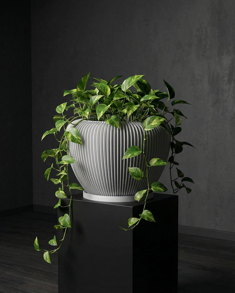 A pothos plant in a gray, vertically ribbed planter pot sits atop a black pedestal against a dark gray wall.