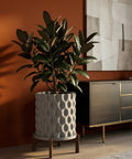 A rubber plant in a white planter pot with a geometric pattern sits on a wooden stand next to a dark wood cabinet.