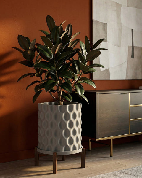 A rubber plant in a white planter pot with a geometric pattern sits on a wooden stand next to a dark wood cabinet.