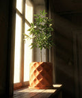 A green plant in a textured, orange planter pot sits on a wooden windowsill bathed in sunlight.