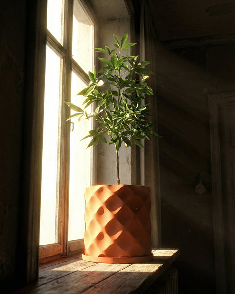 A green plant in a textured, orange planter pot sits on a wooden windowsill bathed in sunlight.