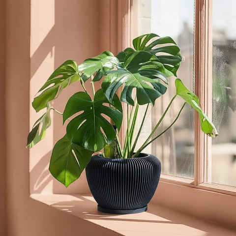 Deep Ocean Blue Mesa