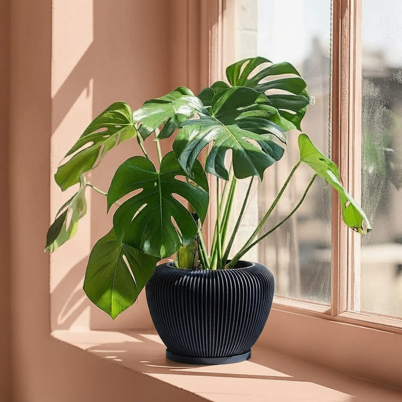 Deep Ocean Blue Mesa