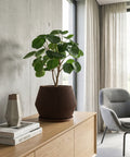 A tall, slender houseplant with lush green leaves sits in a unique, vertically-ribbed brown planter pot. The pot is the focal point, contrasting with the light, airy room featuring sheer curtains, a modern daybed, and a wood-paneled wall. The overall aesthetic is minimalist and serene.