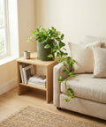 A green planter pot with a pothos plant sits on a wooden table next to a couch. The plant's vines cascade down the side of the couch.