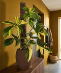 A variegated plant in a brown textured planter pot sits on a wooden cabinet against a mustard-colored wall.