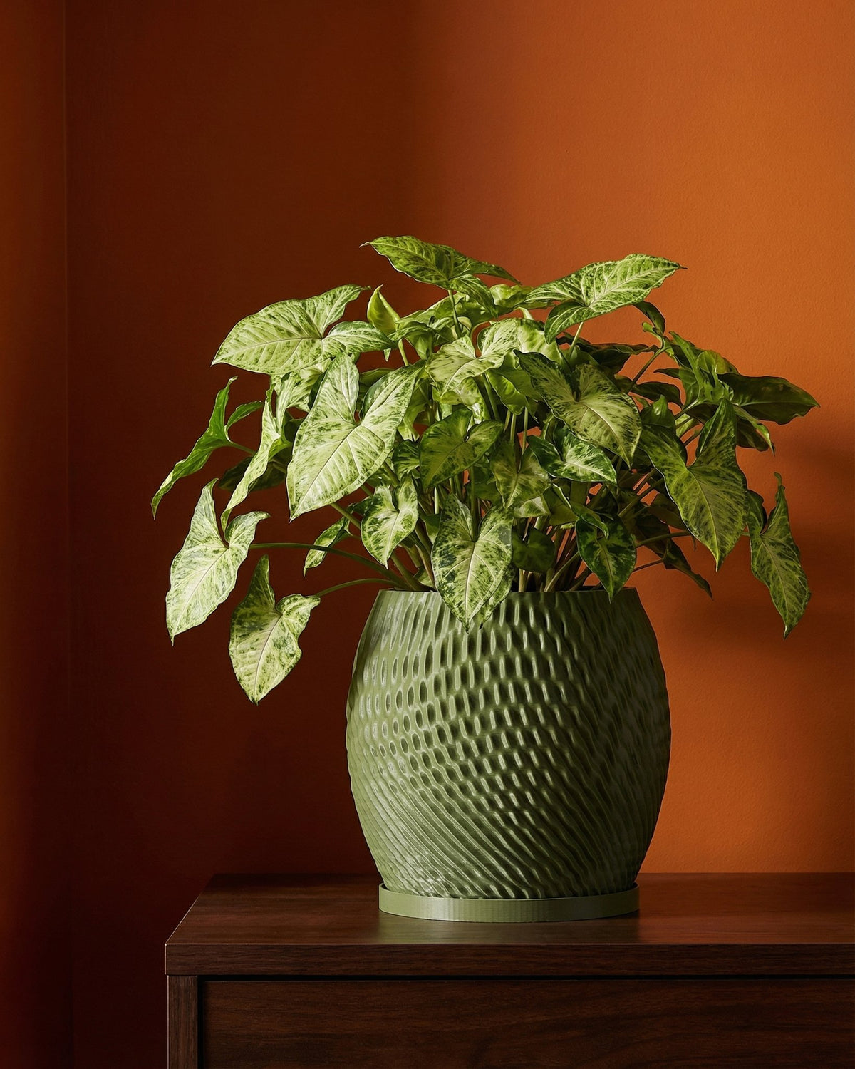 A green planter pot with a textured surface sits on a dark wooden table, filled with a lush green plant with variegated leaves. The background is a solid orange wall.
