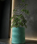 A green Monstera plant in a wavy, light blue planter pot with a black geometric trellis.