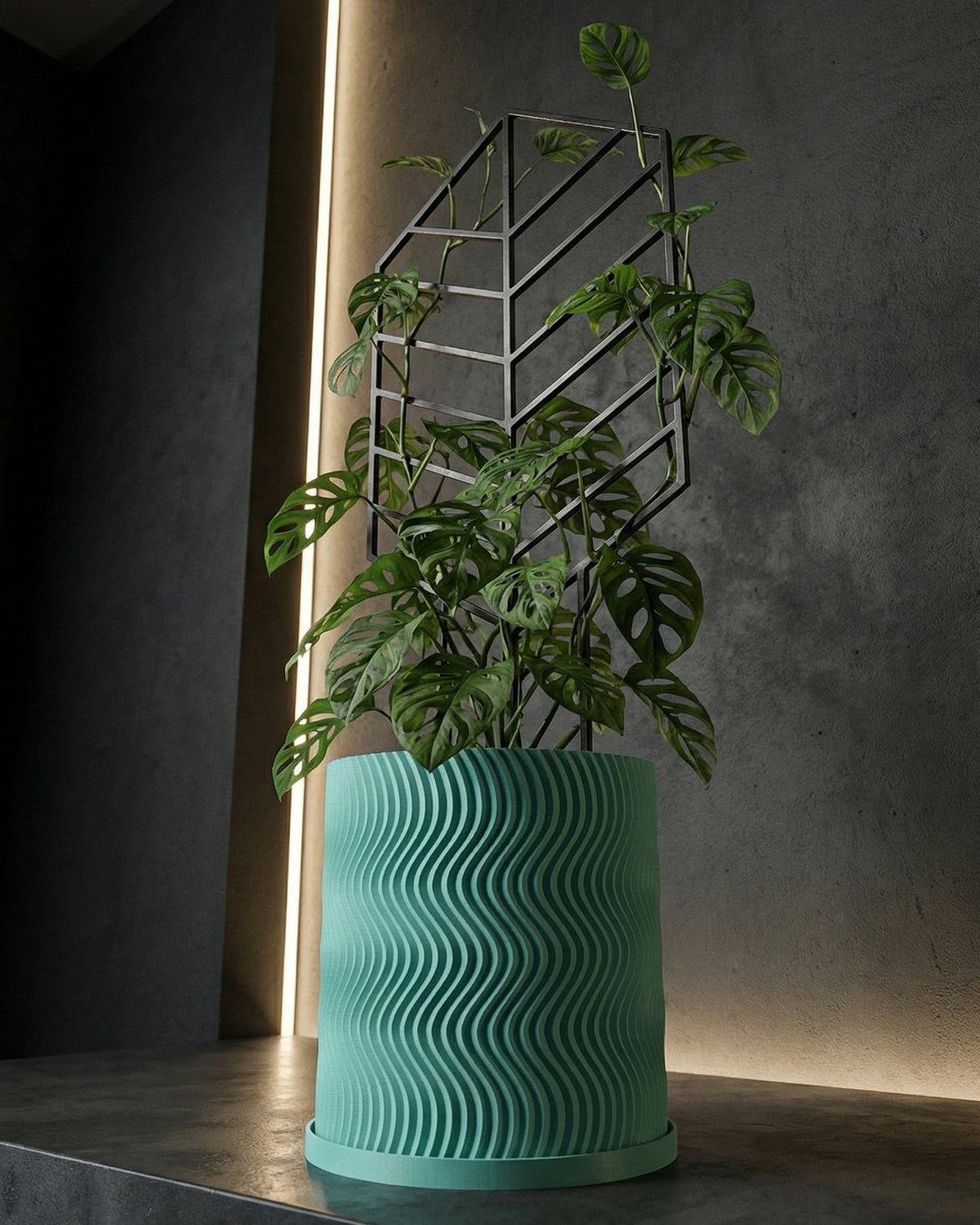 A green Monstera plant in a wavy, light blue planter pot with a black geometric trellis.