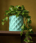 A vibrant golden pothos plant cascades from a textured, light blue planter pot on a wooden shelf.
