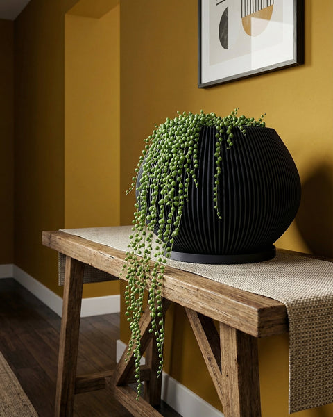 A money tree plant in a dark blue ribbed planter pot sits in a bright, modern room with a large window and a wooden cabinet in the background. The plant is lush and green, with a braided trunk. The pot has a unique, textured design.