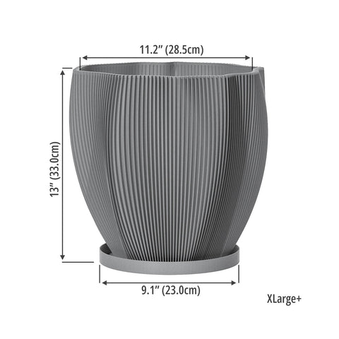 Concrete Grey Coconut