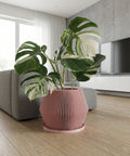 A pink planter pot with a green plant inside sits on a gray countertop next to a window. The pot has a ribbed design and is slightly flared at the top. The plant has round, green leaves. The countertop is made of a concrete-like material. In the background, there is a gray wall with a painting and a floor lamp.