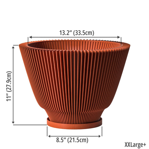 Terracotta Orange Dawn