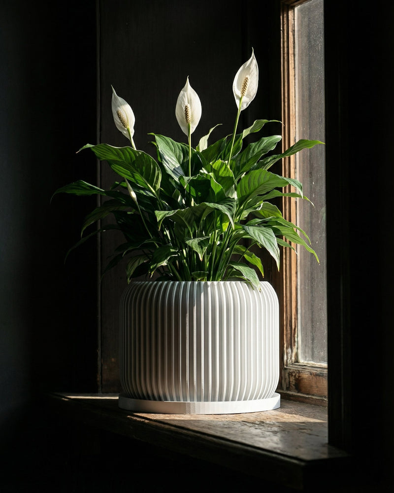 A modern living room with a gray sofa, a tall green plant in a white textured planter pot, and a floor lamp.