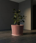 A pink planter pot with a geometric pattern sits on a dark wooden surface, holding a vibrant plant with pink and green leaves.