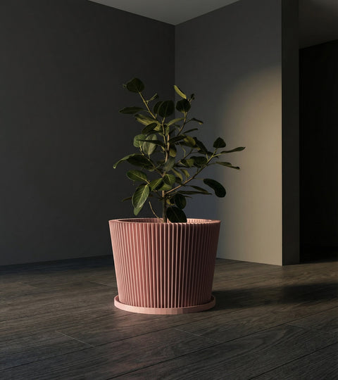 A pink planter pot with a geometric pattern sits on a dark wooden surface, holding a vibrant plant with pink and green leaves.