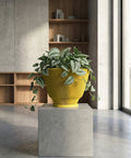 A yellow planter pot with a plant inside sits on a gray concrete cube. The pot has a fluted design and the plant has green and silver leaves. The cube is in a room with a concrete floor and a window.