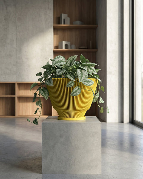 A yellow planter pot with a plant inside sits on a gray concrete cube. The pot has a fluted design and the plant has green and silver leaves. The cube is in a room with a concrete floor and a window.