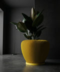 A vibrant yellow planter pot with a ribbed design, holding a lush green plant with dark leaves, stands against a dark, textured wall.