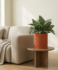 A woven, terracotta-colored planter pot sits on a wooden side table next to a beige couch with a throw blanket.