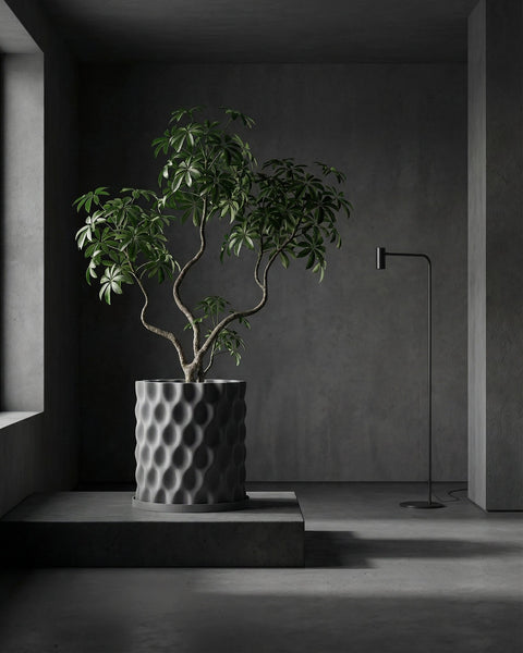 A gray planter pot with a plant inside sits on a gray platform in a gray room with a gray lamp.