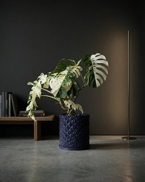 A blue geometric planter pot with a variegated Monstera plant sits on a gray floor, next to a wooden shelf and a slender floor lamp.