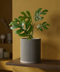 A planter pot with a green plant on a wooden shelf against a yellow wall. The pot is gray with vertical lines.