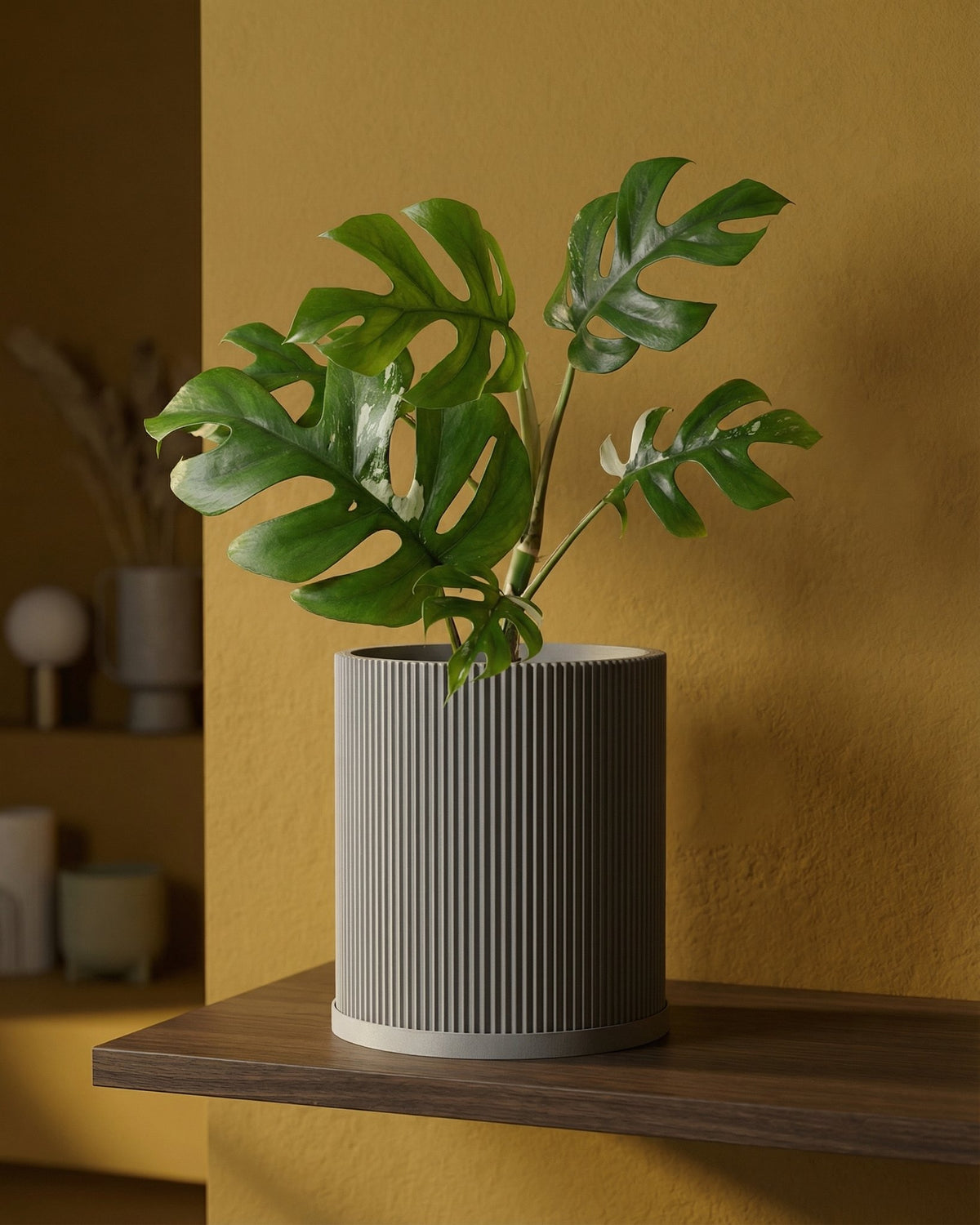 A planter pot with a green plant on a wooden shelf against a yellow wall. The pot is gray with vertical lines.