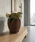 A brown textured planter pot with a green plant next to a gray couch on a wooden floor.