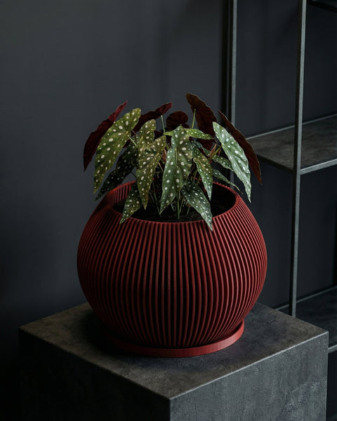A red, ribbed planter pot sits on a dark gray pedestal, holding a plant with spotted leaves. A dark gray wall is in the background.